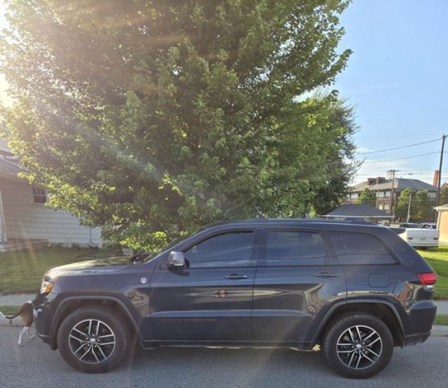 Local & Regional Rides